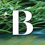 Backroad Portfolio's avatar