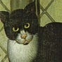 Alexander Hay's avatar