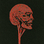disinfo.zone's avatar