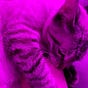 Jason's avatar