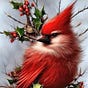 Vicki B's avatar