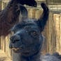 Andrew Kavros's avatar