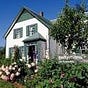 Dale of Green Gables's avatar