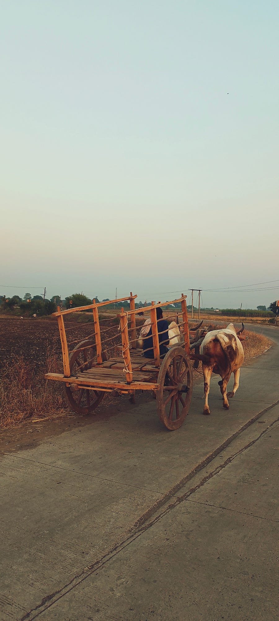 A royal ride