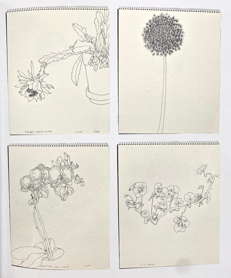 Ruth Asawa's drawings in her sketchbook