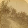 The Trail Register