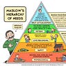 Wealth Beyond Money University
