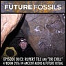 Future Fossils with Michael Garfield