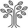 Growing Wiser