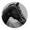 The Flow Horse