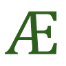 Ælfgif-who?