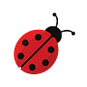 The Ladybird Purse • Opening up about money