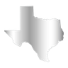 The Texas Voice