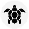 Turtles Research