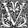 The Veil