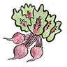 The Farm Share Newsletter