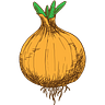 Psychology Onions