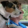 ClimateDog