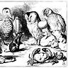 The Crossroads Gazette
