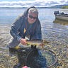 Ireland on the Fly