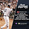Bronx Pinstripes
