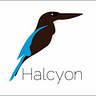 Halcyon Futurist Foundation: Secure the Future Now