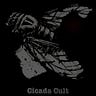 Cicada Cult