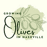 Growing Olives in Nashville
