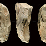 Anthropology.net