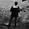 Meditations on Nature | Korean-style Sijo poems