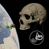 Anthropology.net