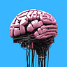AI Search