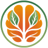 The Brainlift