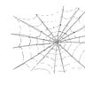 Changemakers’ Substack