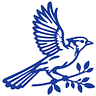The Blue Jay