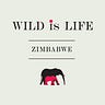 WildSong, by Wild is Life