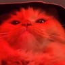 gm gamers