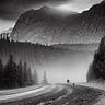 A Poet's Journey