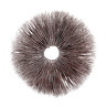 Mycology Minute