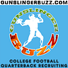 The Gunslinger Buzz