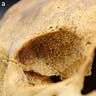 Anthropology.net