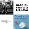 Las Noticias de México Lector 🇲🇽📚