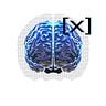 BrainXAI's Substack