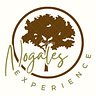 Nogales Experience