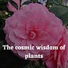 Reclaim Your Natural Wisdom