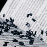 Too Many Words