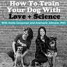 Don't Be a Dick to Your Dog