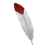 REAL Indigenous Report