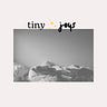 Tiny~Joys