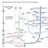 Last Week in AI